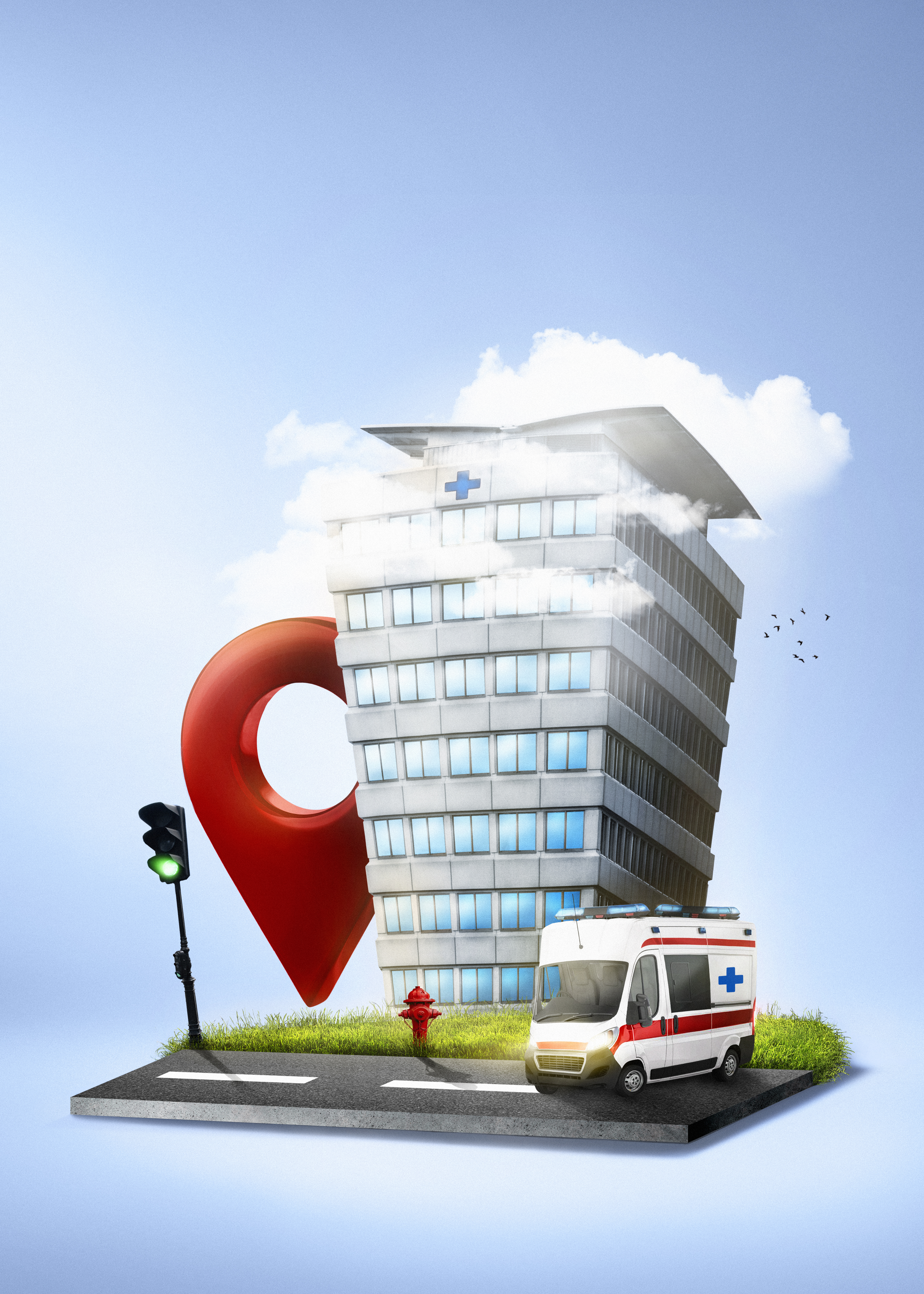 hospital principles